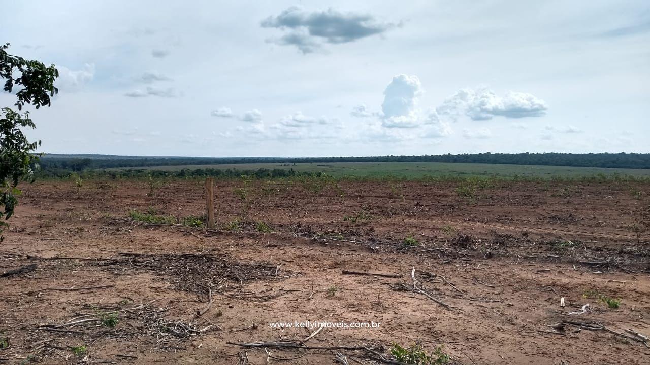 Fazenda à venda com 3 quartos, 3800000m² - Foto 10