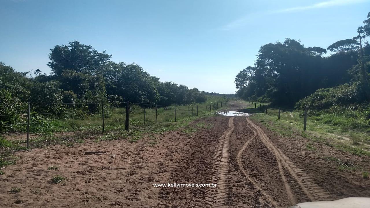 Fazenda à venda com 3 quartos, 3800000m² - Foto 11