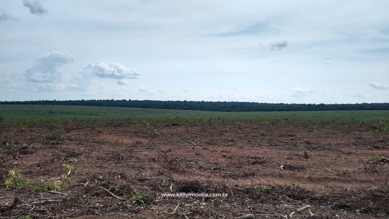 Fazenda à venda com 3 quartos, 3800000m² - Foto 5