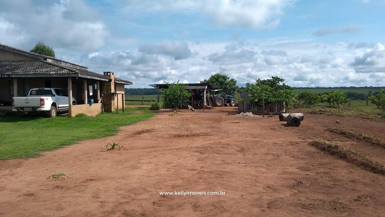 Fazenda à venda com 3 quartos, 3800000m² - Foto 6