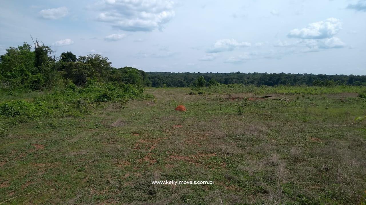 Fazenda à venda com 3 quartos, 3800000m² - Foto 7