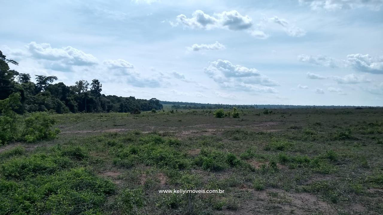Fazenda à venda com 3 quartos, 3800000m² - Foto 8