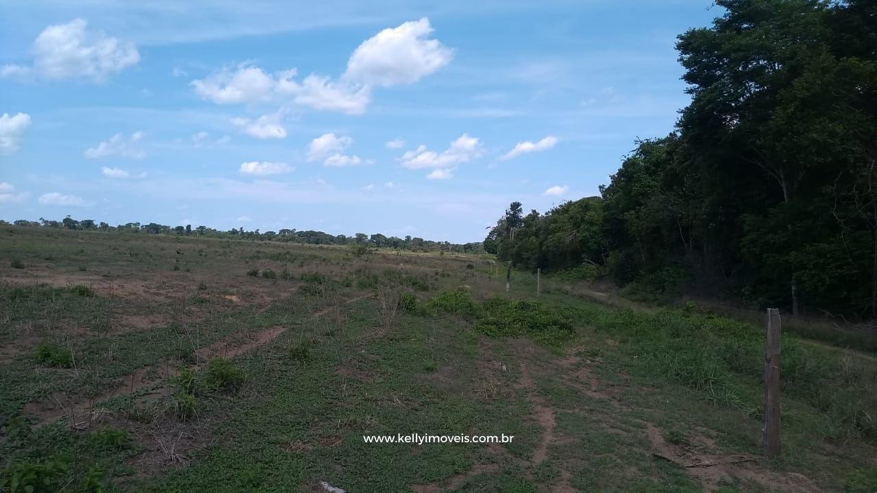 Fazenda à venda com 3 quartos, 3800000m² - Foto 9