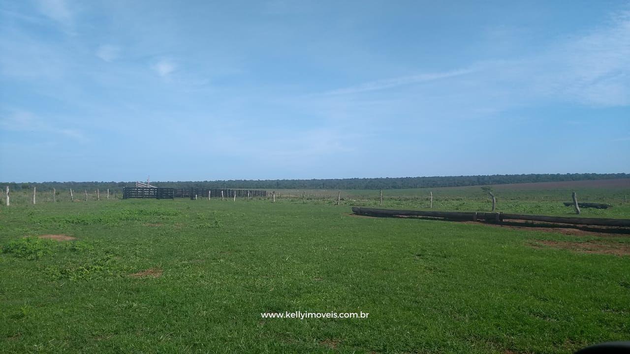 Fazenda à venda com 3 quartos, 3800000m² - Foto 12