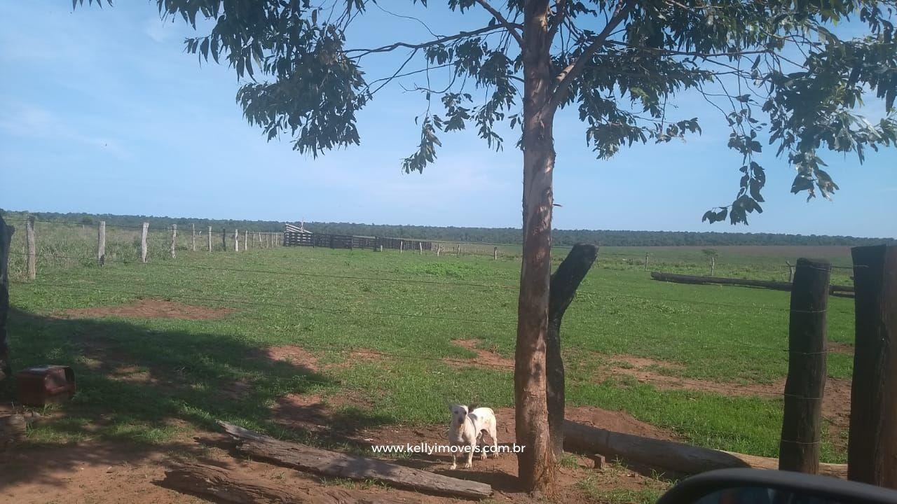 Fazenda à venda com 3 quartos, 3800000m² - Foto 13