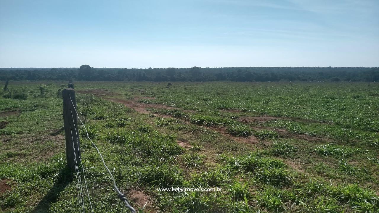 Fazenda à venda com 3 quartos, 3800000m² - Foto 14