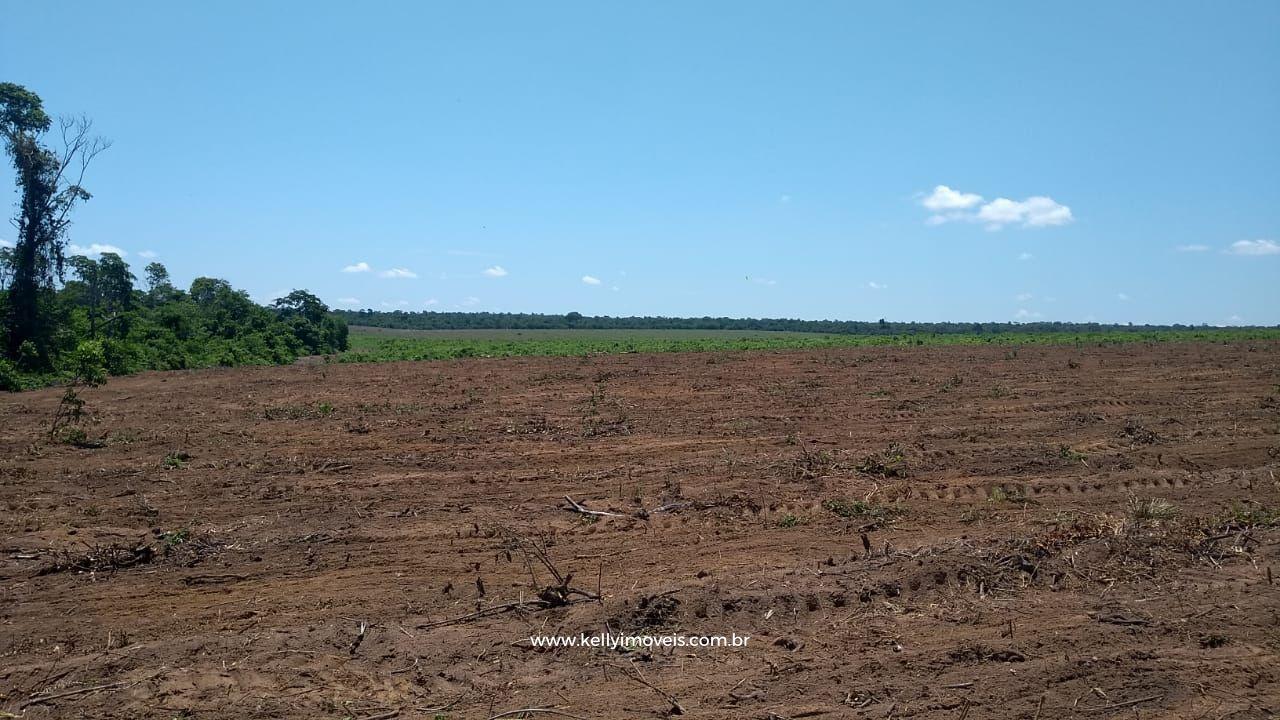 Fazenda à venda com 3 quartos, 3800000m² - Foto 17