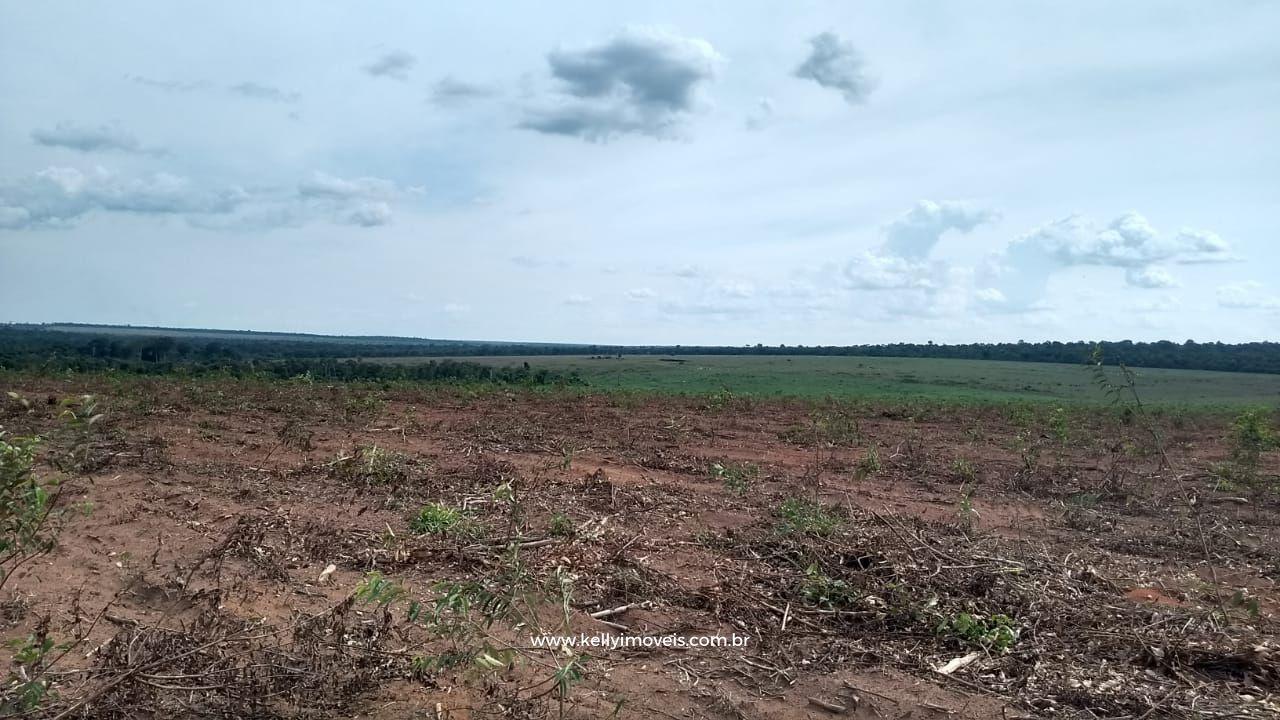 Fazenda à venda com 3 quartos, 3800000m² - Foto 18