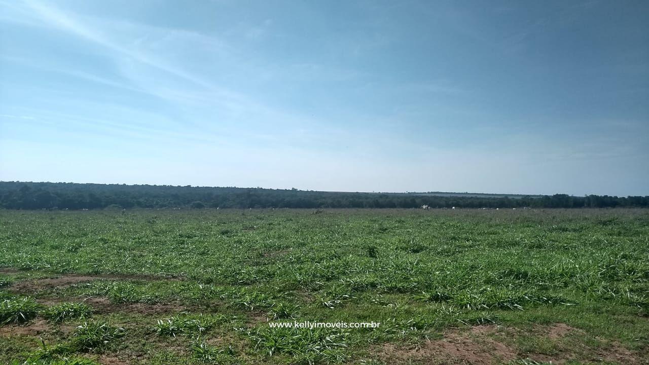 Fazenda à venda com 3 quartos, 3800000m² - Foto 19