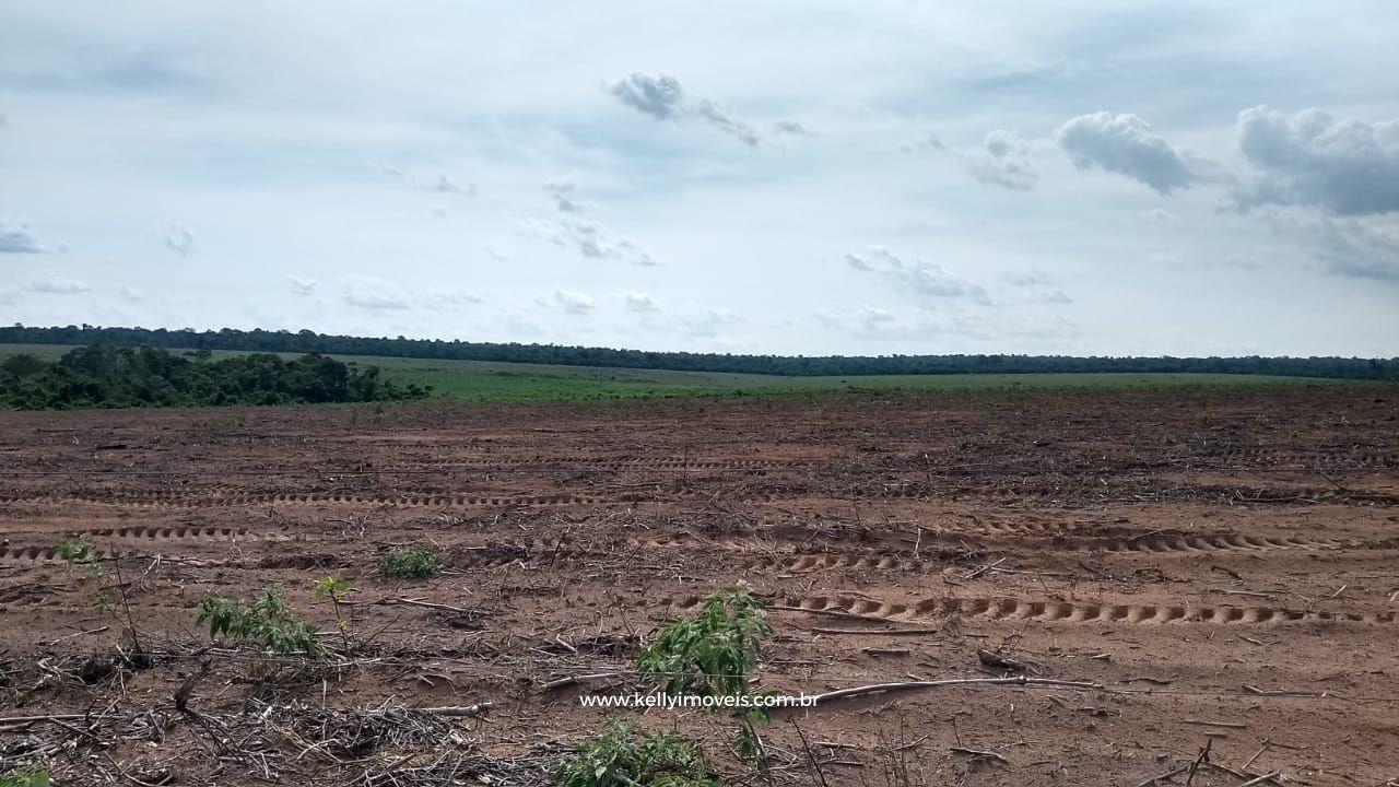 Fazenda à venda com 3 quartos, 3800000m² - Foto 20