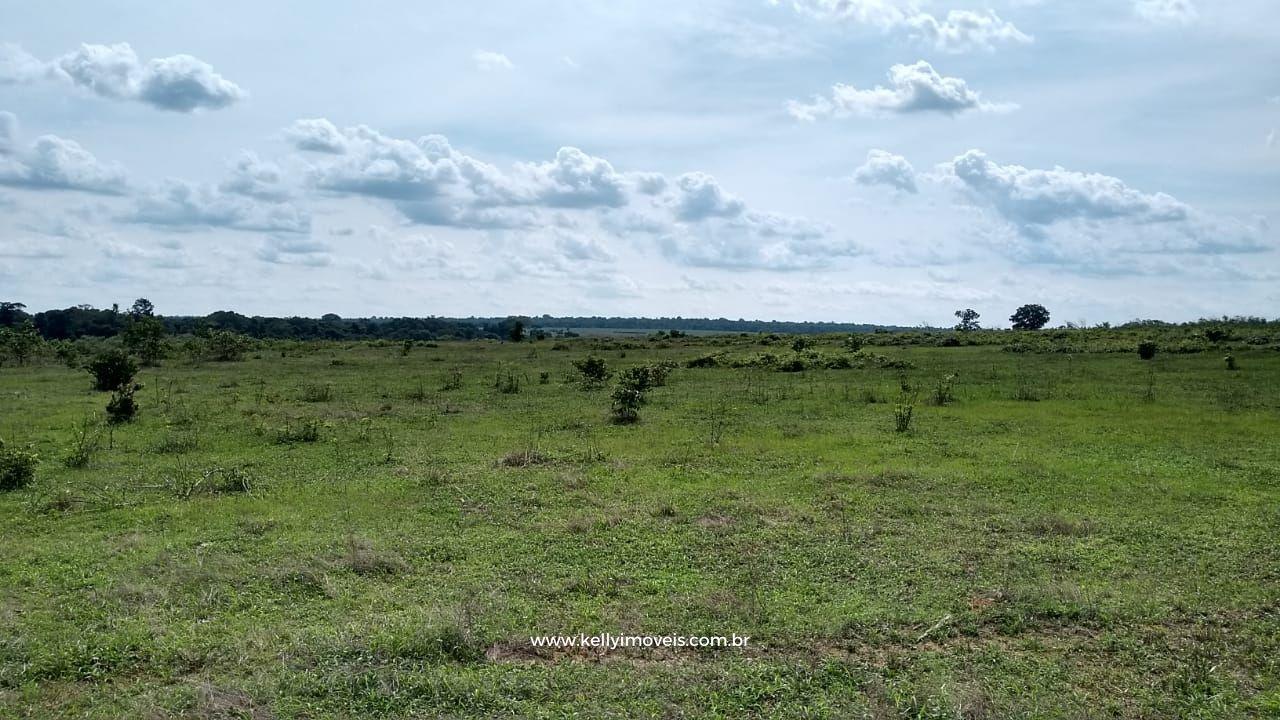 Fazenda à venda com 3 quartos, 3800000m² - Foto 21