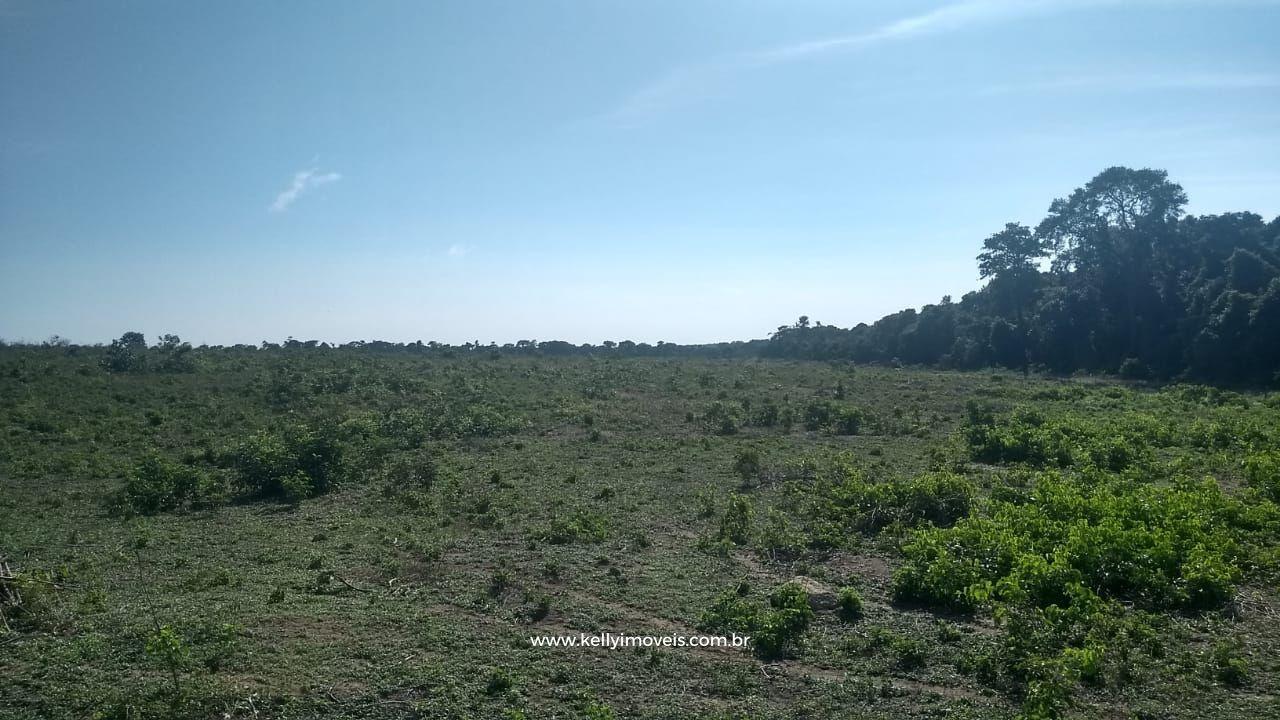 Fazenda à venda com 3 quartos, 3800000m² - Foto 22