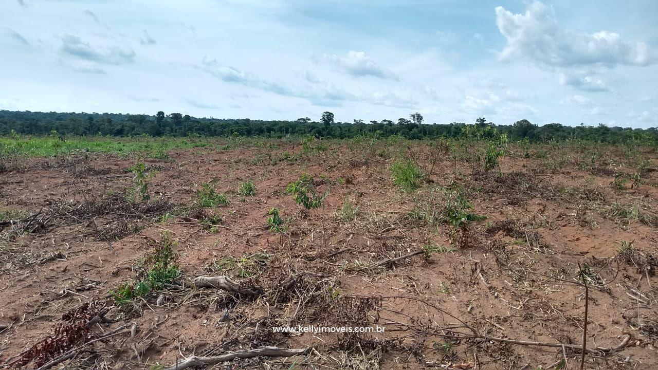 Fazenda à venda com 3 quartos, 3800000m² - Foto 23