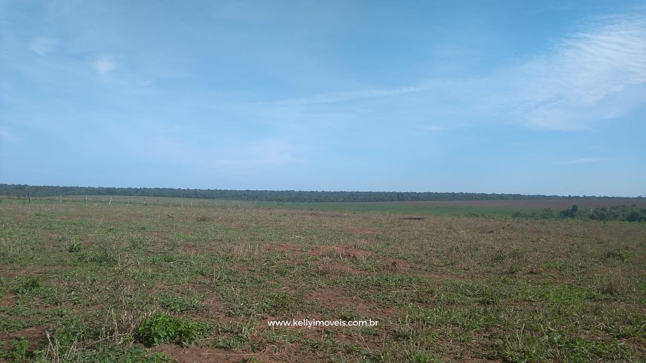Fazenda à venda com 3 quartos, 3800000m² - Foto 24
