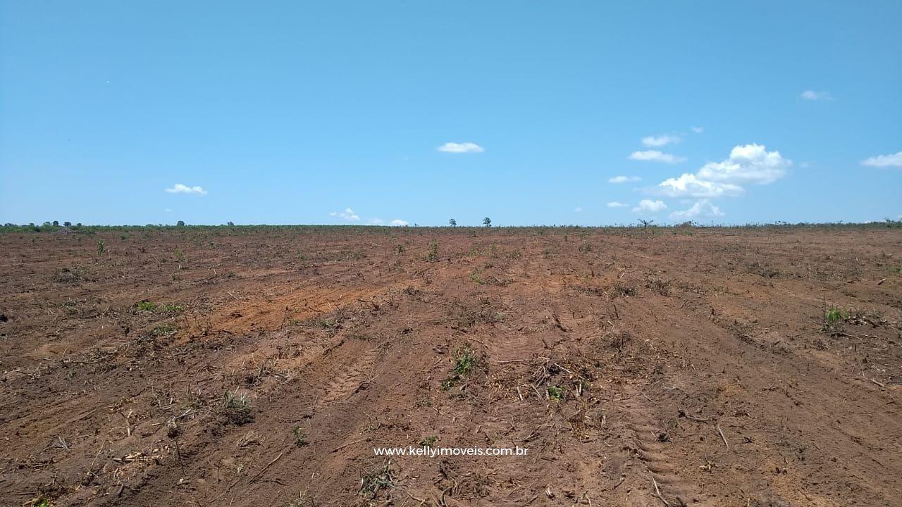 Fazenda à venda com 3 quartos, 3800000m² - Foto 26