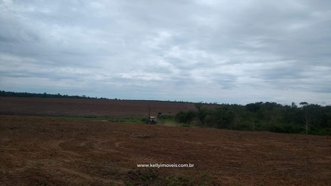Fazenda à venda com 3 quartos, 3800000m² - Foto 27
