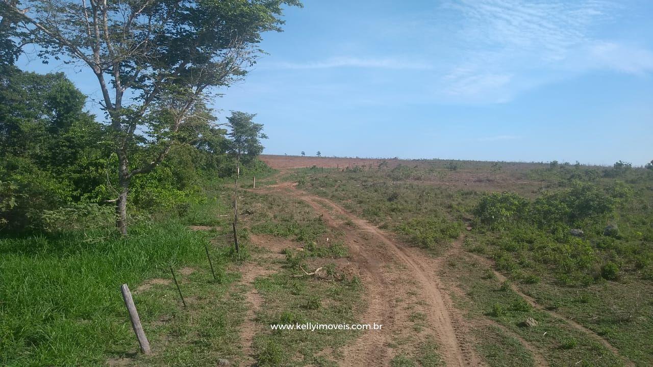 Fazenda à venda com 3 quartos, 3800000m² - Foto 28
