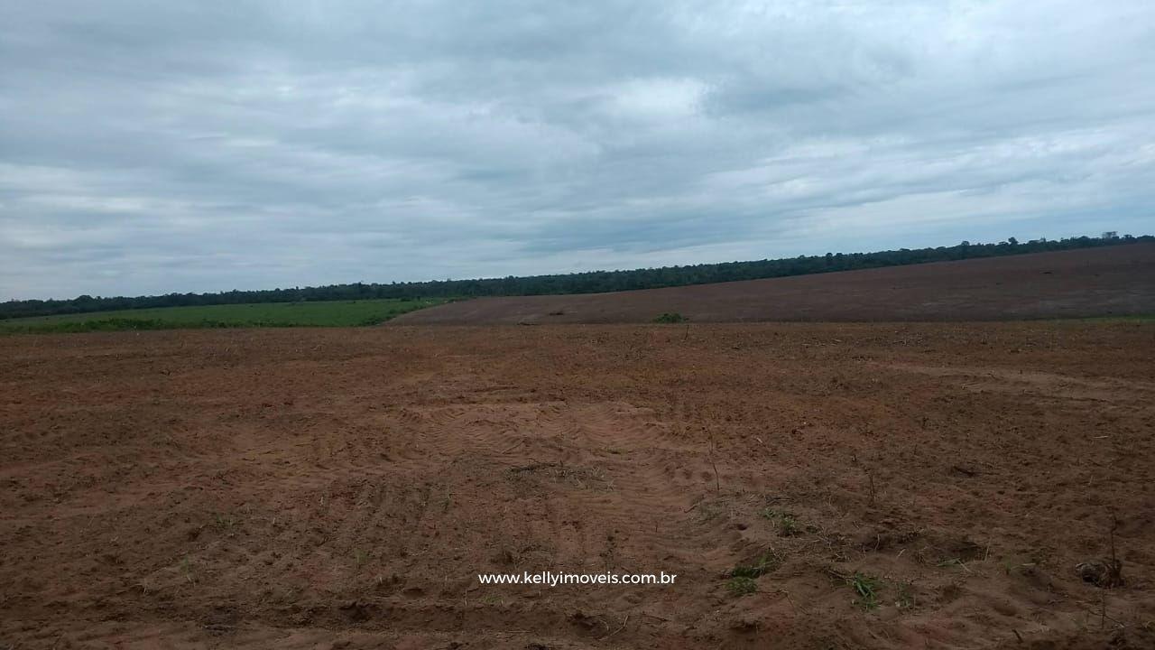 Fazenda à venda com 3 quartos, 3800000m² - Foto 29