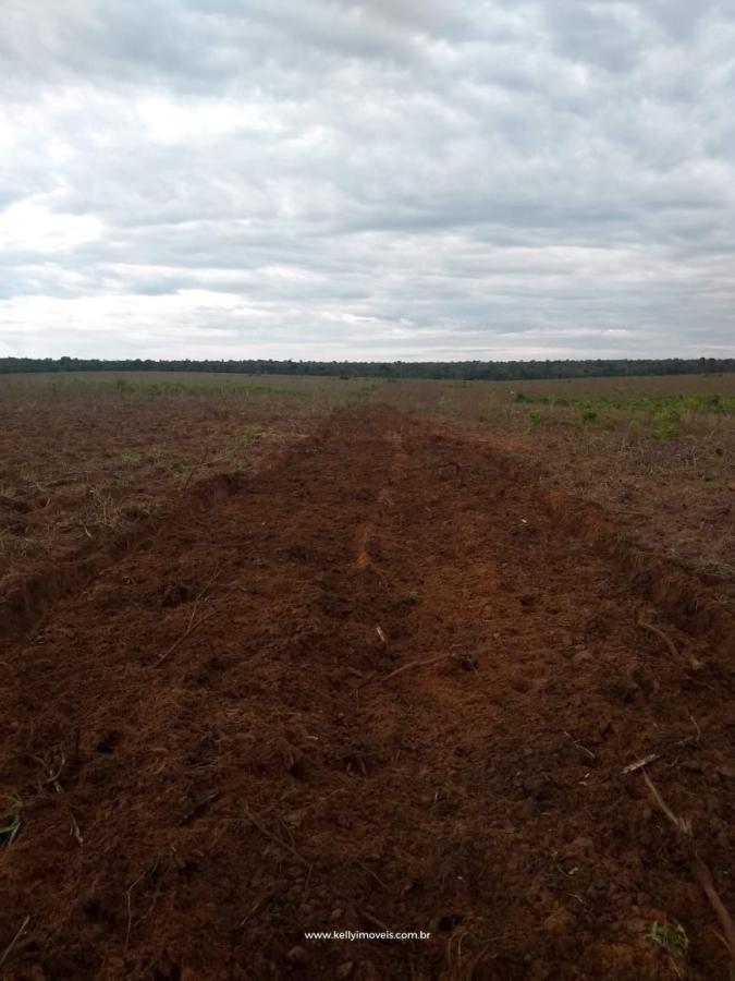 Fazenda à venda com 3 quartos, 3800000m² - Foto 30