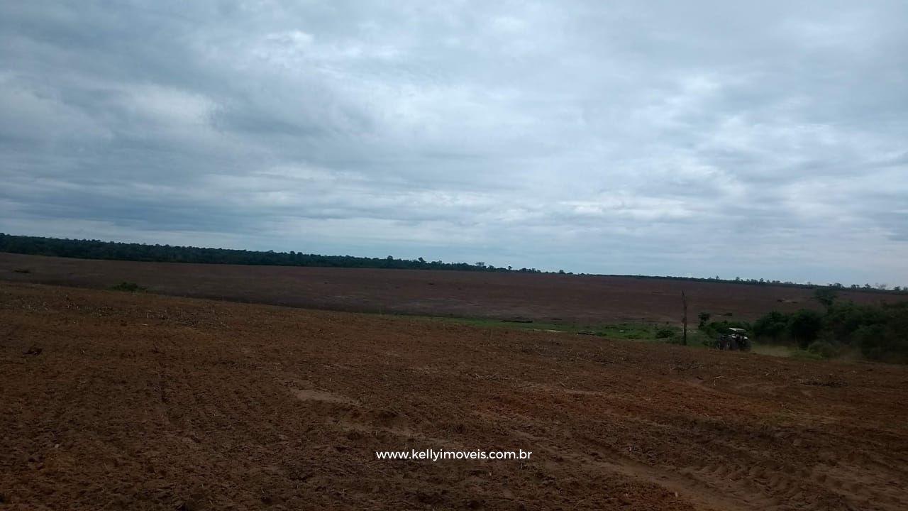 Fazenda à venda com 3 quartos, 3800000m² - Foto 31