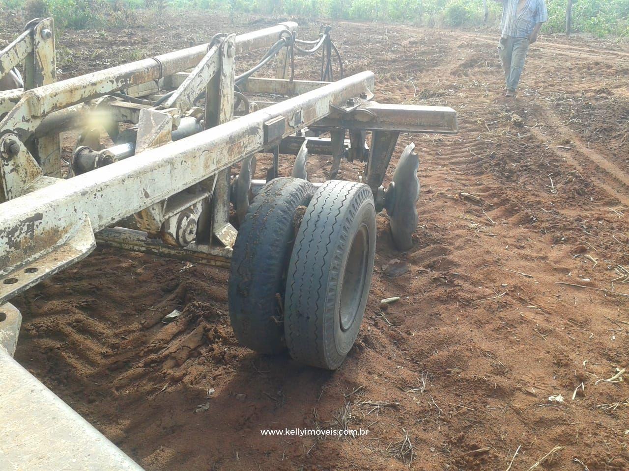 Fazenda à venda com 3 quartos, 3800000m² - Foto 34