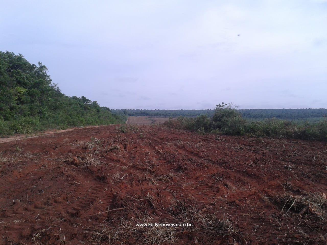 Fazenda à venda com 3 quartos, 3800000m² - Foto 35