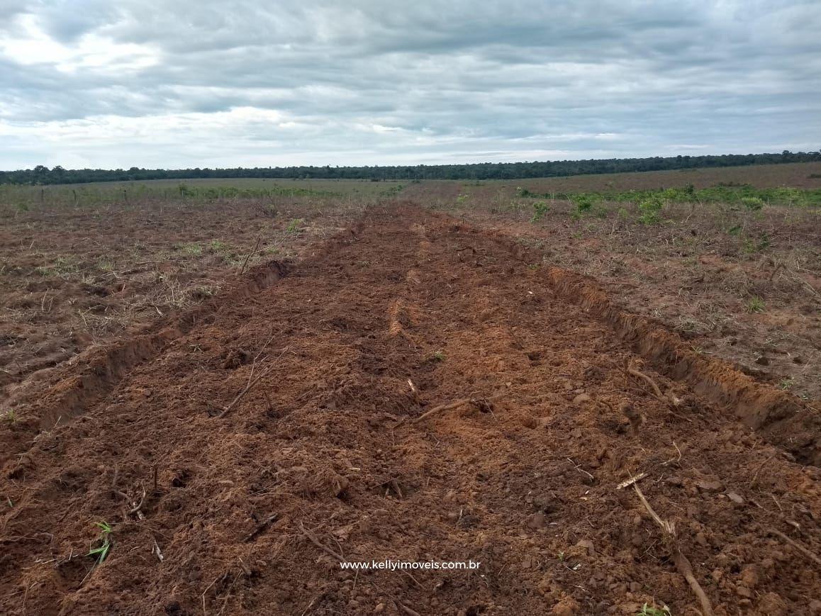 Fazenda à venda com 3 quartos, 3800000m² - Foto 36