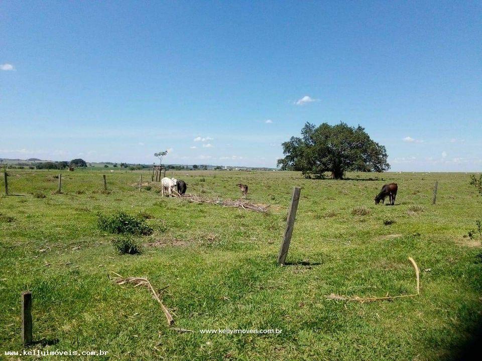 Chácara à venda com 2 quartos, 48400m² - Foto 3