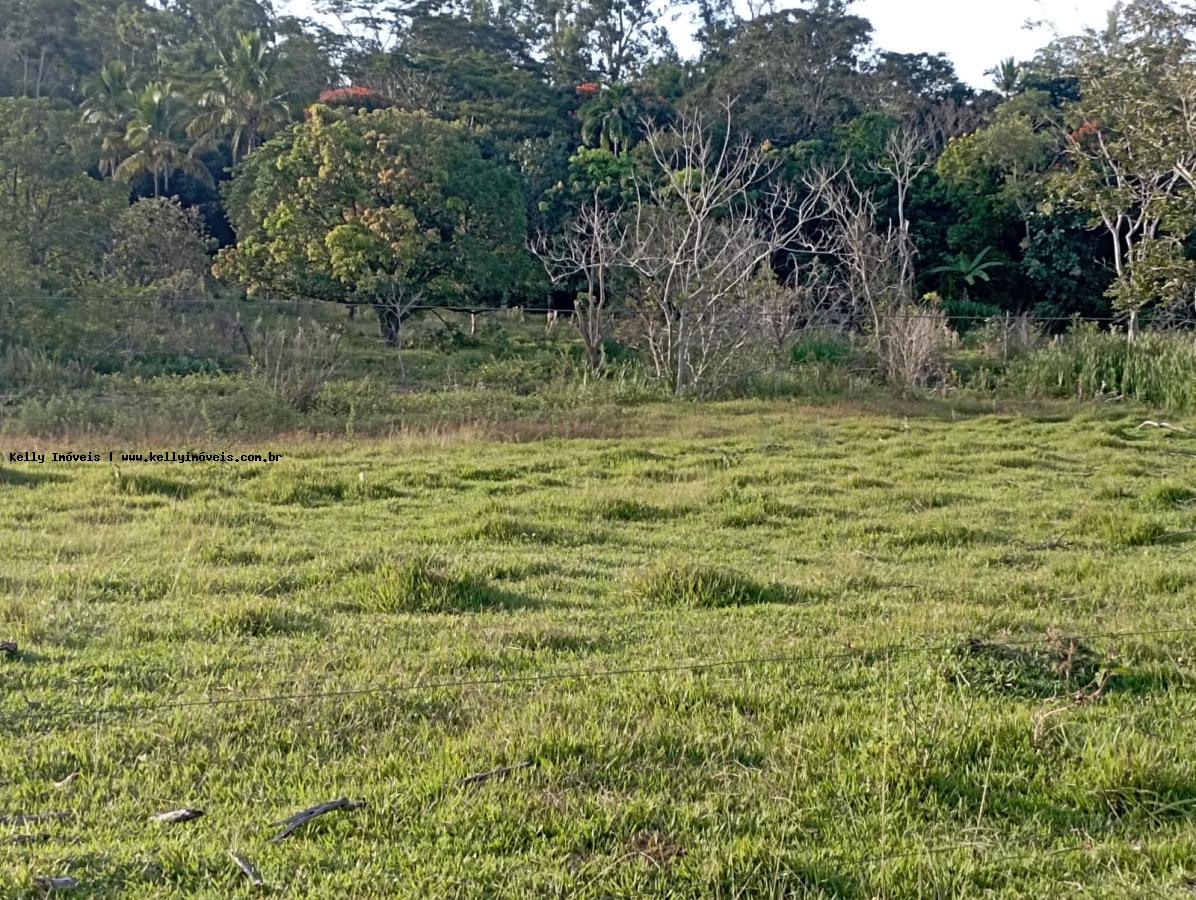 Chácara, 2 hectares - Foto 5