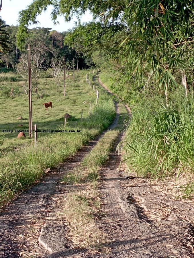 Chácara, 2 hectares - Foto 3