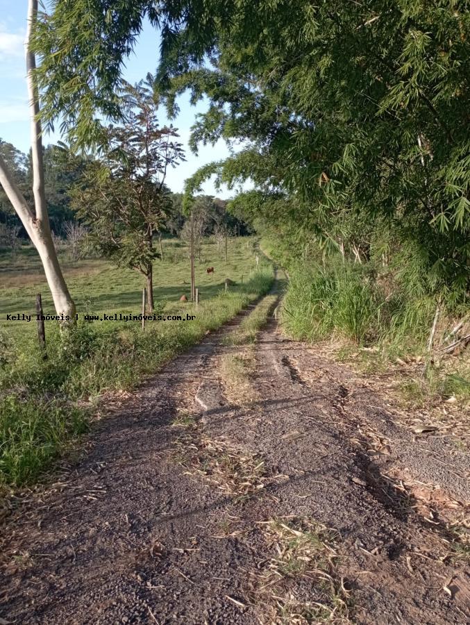 Chácara, 2 hectares - Foto 4