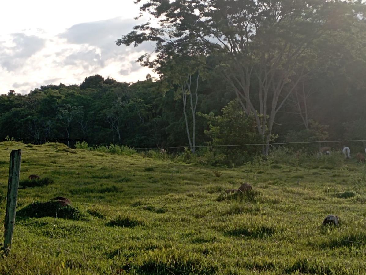 Chácara, 2 hectares - Foto 6