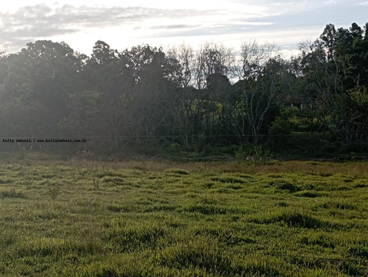 Chácara, 2 hectares - Foto 8