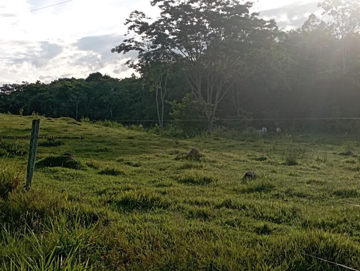 Chácara, 2 hectares - Foto 9