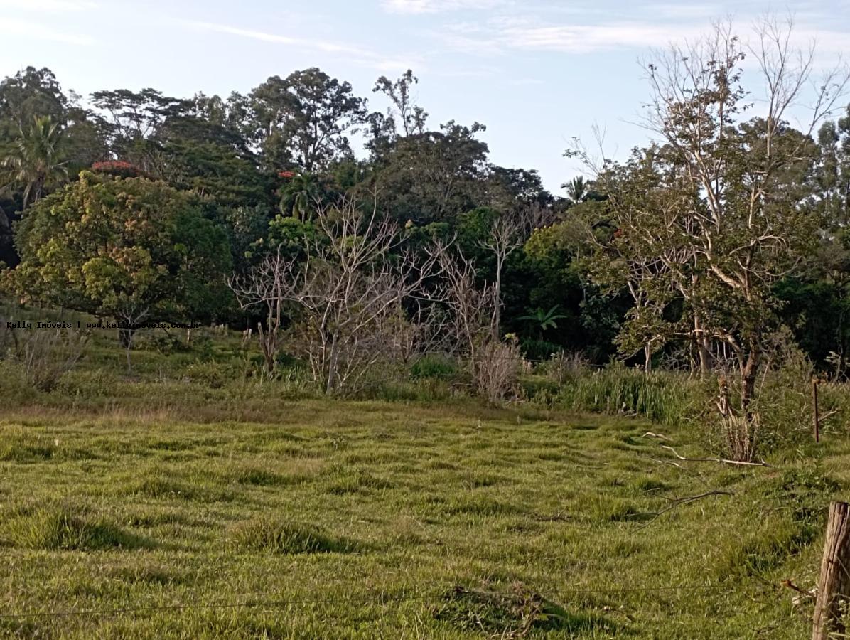 Chácara, 2 hectares - Foto 10