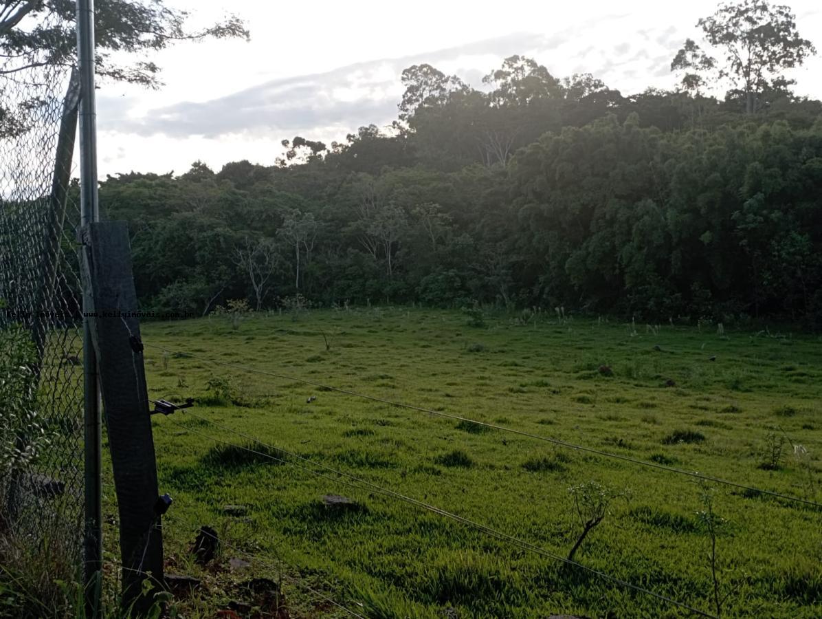 Chácara, 2 hectares - Foto 12