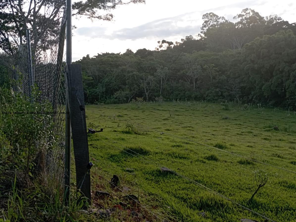 Chácara, 2 hectares - Foto 13