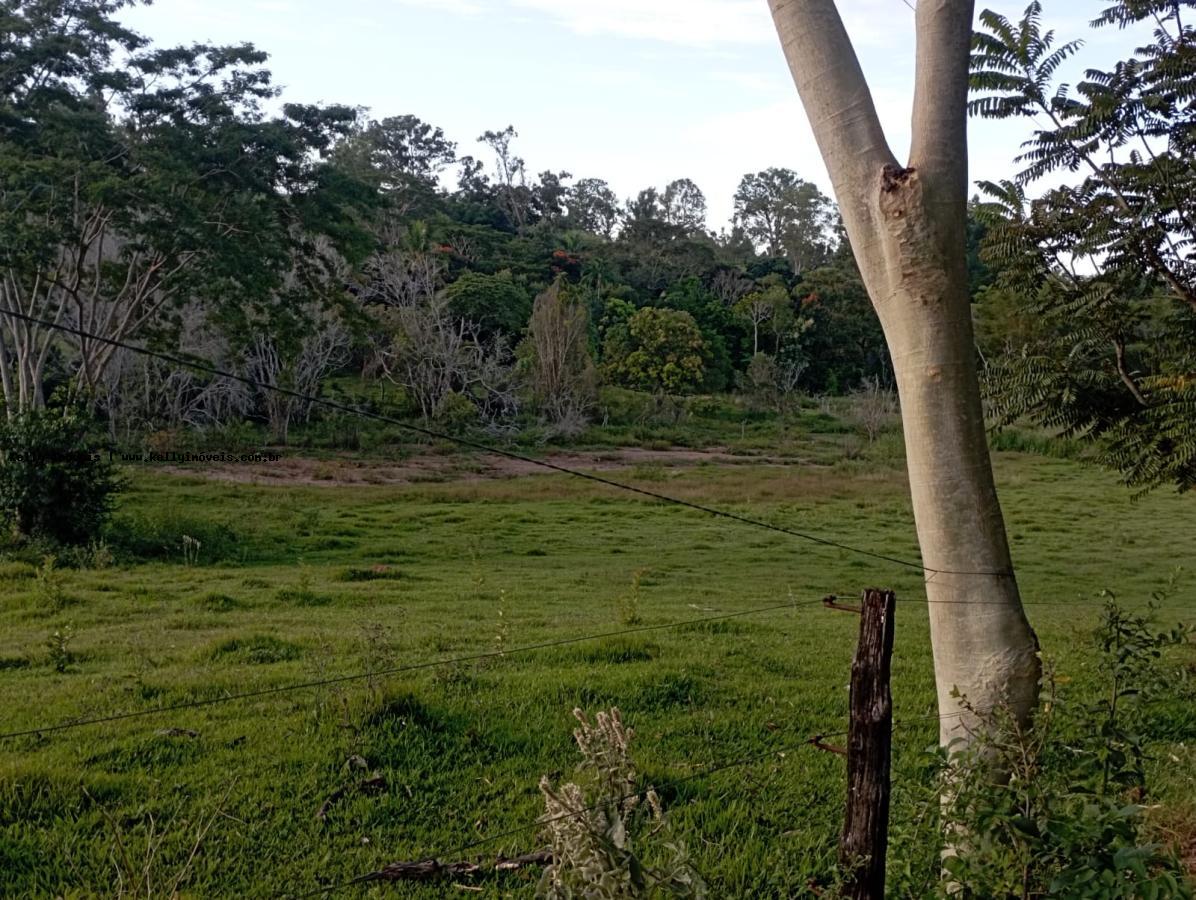 Chácara, 2 hectares - Foto 15