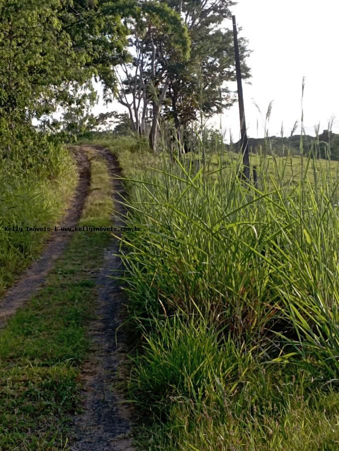 Chácara, 2 hectares - Foto 2