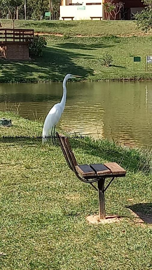 Terreno, 252 m² - Foto 16