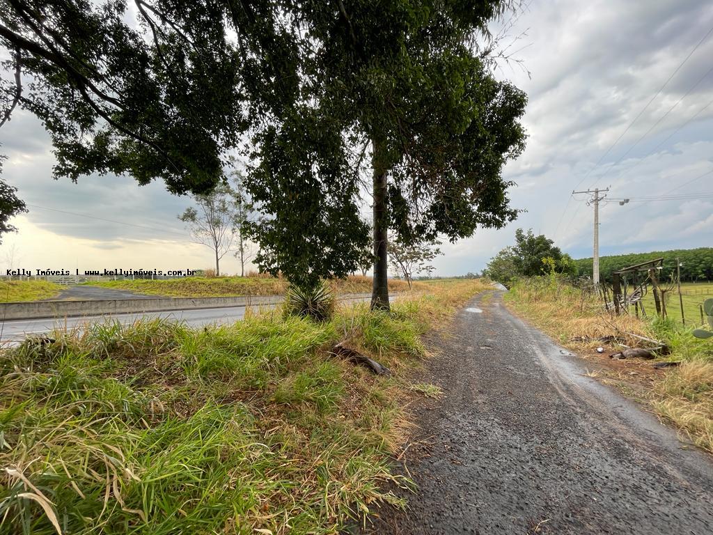 Chácara, 4516 m² - Foto 6