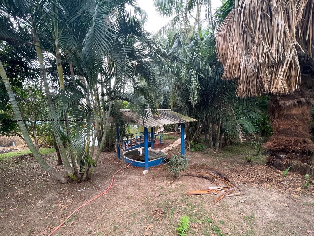 Sítio à venda com 3 quartos, 72600m² - Foto 27