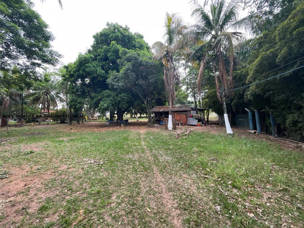 Sítio à venda com 3 quartos, 72600m² - Foto 23