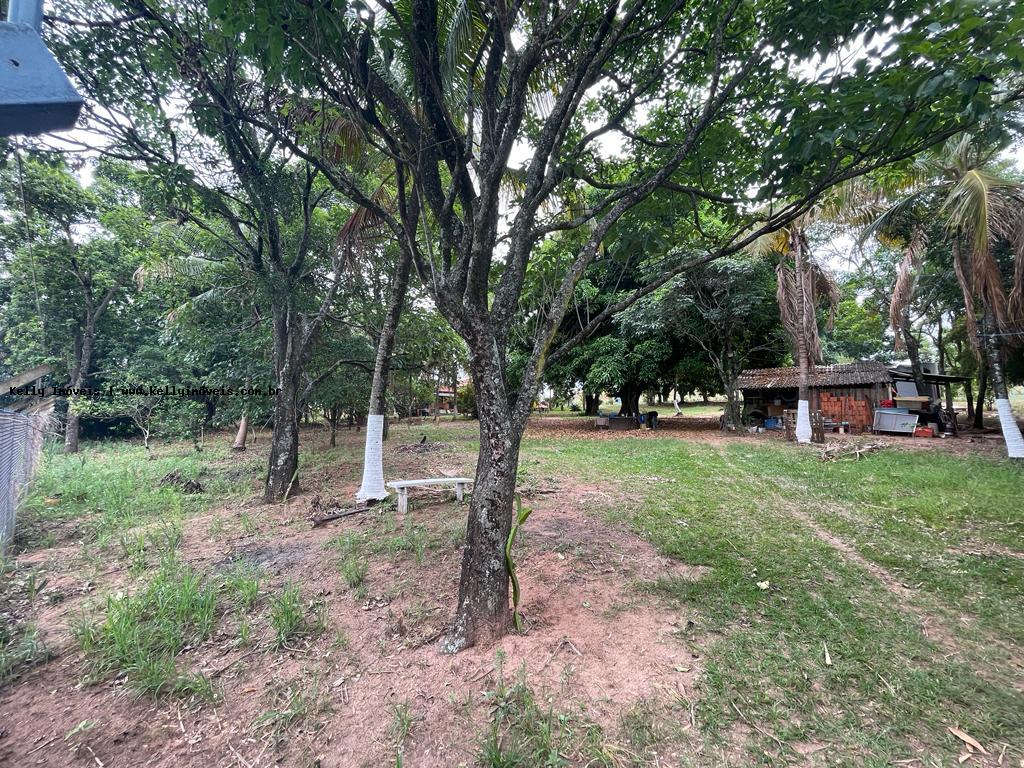 Sítio à venda com 3 quartos, 72600m² - Foto 40