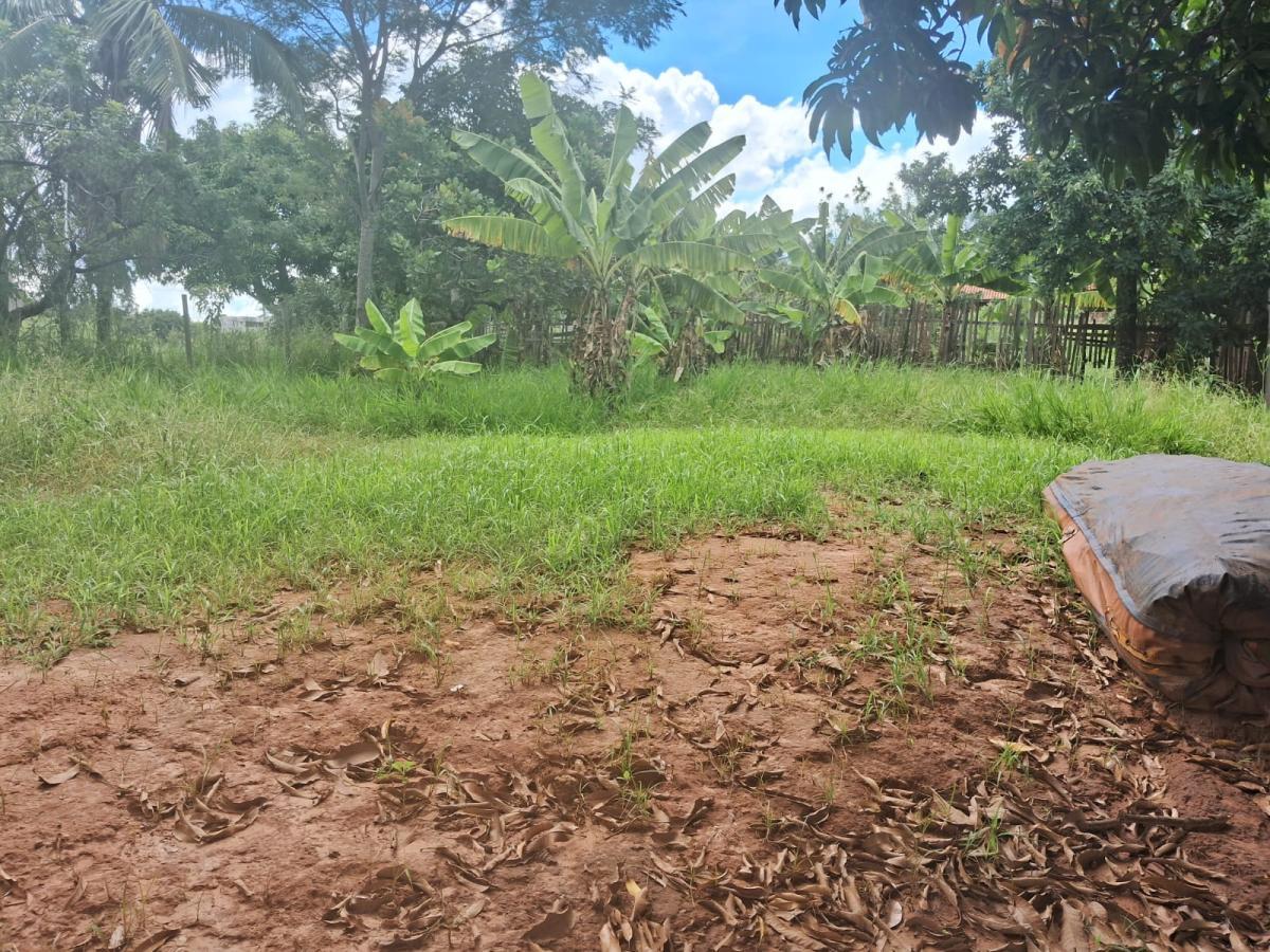 Chácara à venda com 2 quartos, 600m² - Foto 7