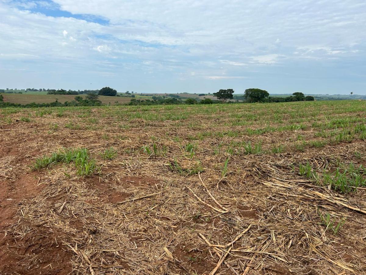 Sítio, 38 hectares - Foto 5