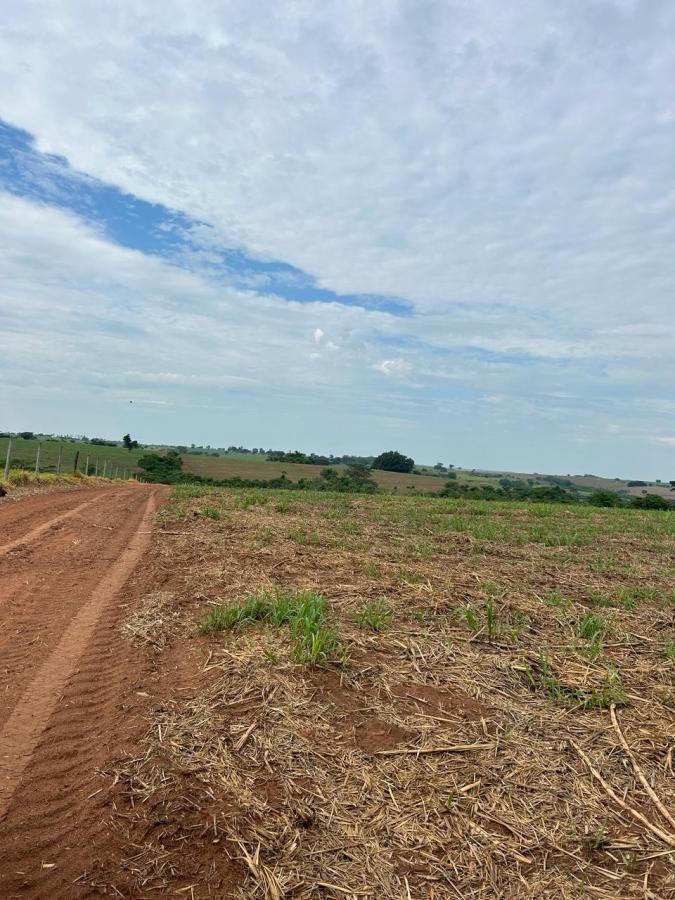 Sítio, 38 hectares - Foto 6