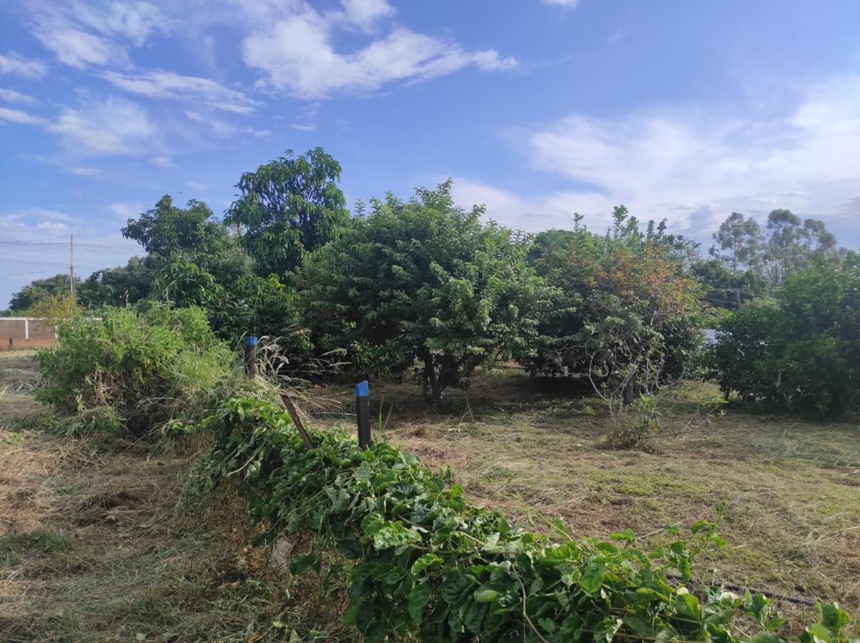 Chácara, 2 quartos, 4000 m² - Foto 10