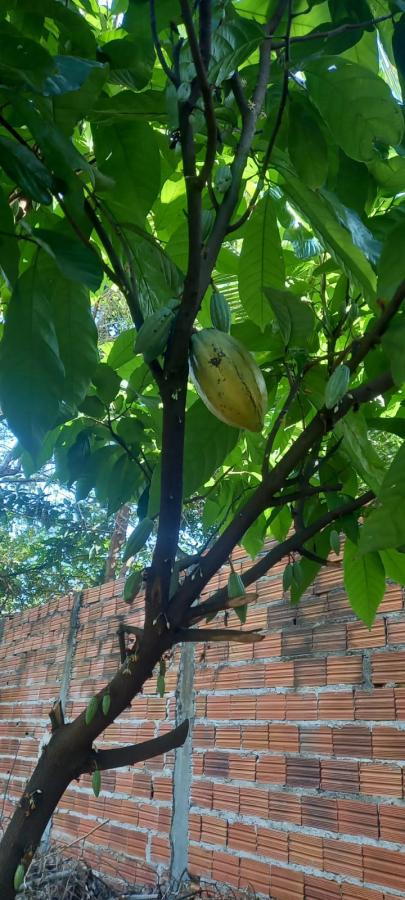 Casa, 3 quartos, 140 m² - Foto 3