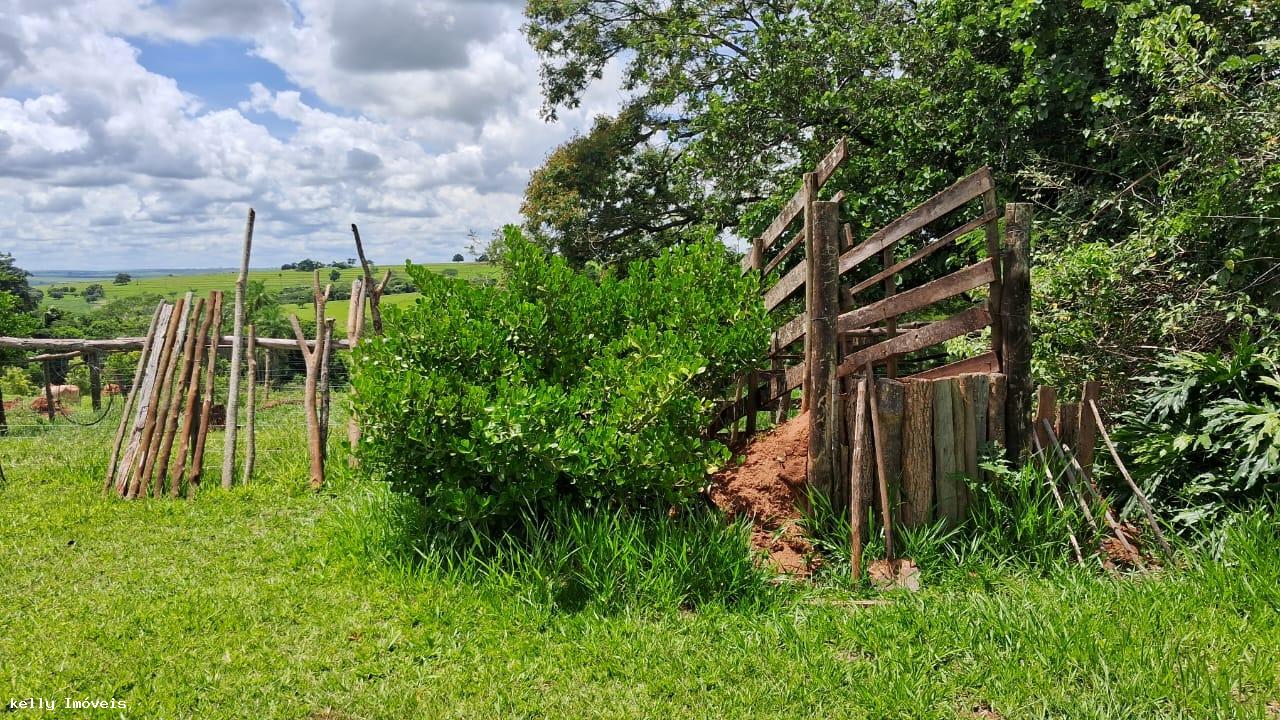 Sítio à venda com 3 quartos - Foto 12